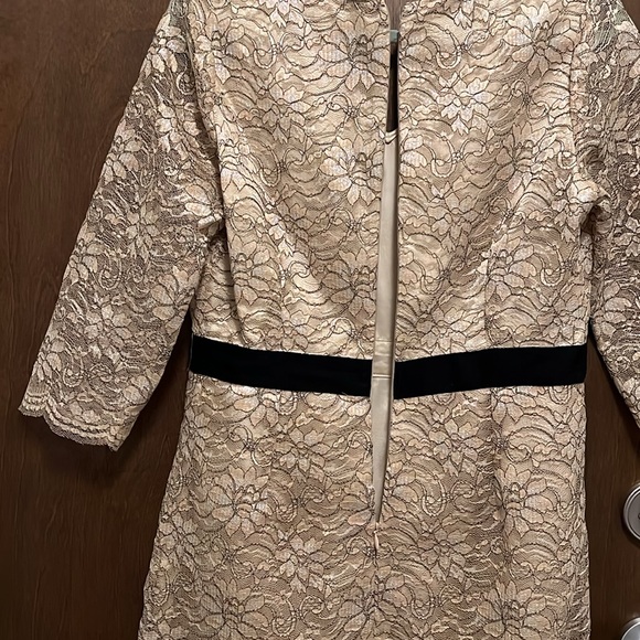 Banana Republic Champagne Metallic Lace Style Dress w Black Waistband Size 10 - Picture 10 of 10